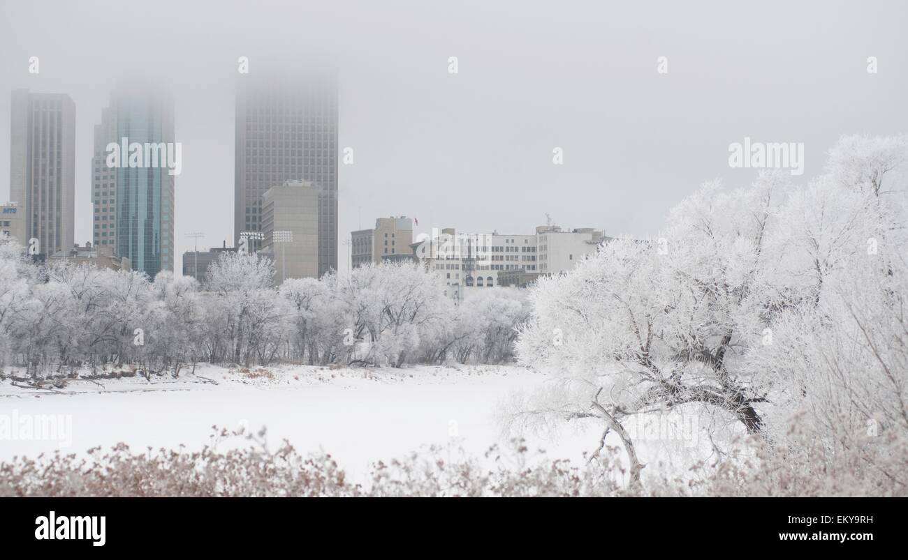 Les immeubles de grande hauteur en hiver ; Winnipeg, Manitoba, Canada Banque D'Images