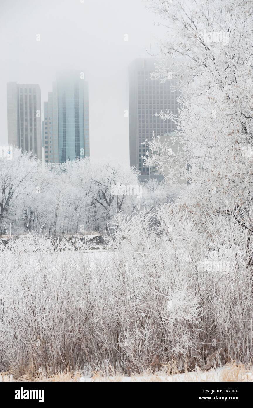 Winnipeg, Manitoba, Canada ; immeubles de grande hauteur dans l'hiver Banque D'Images