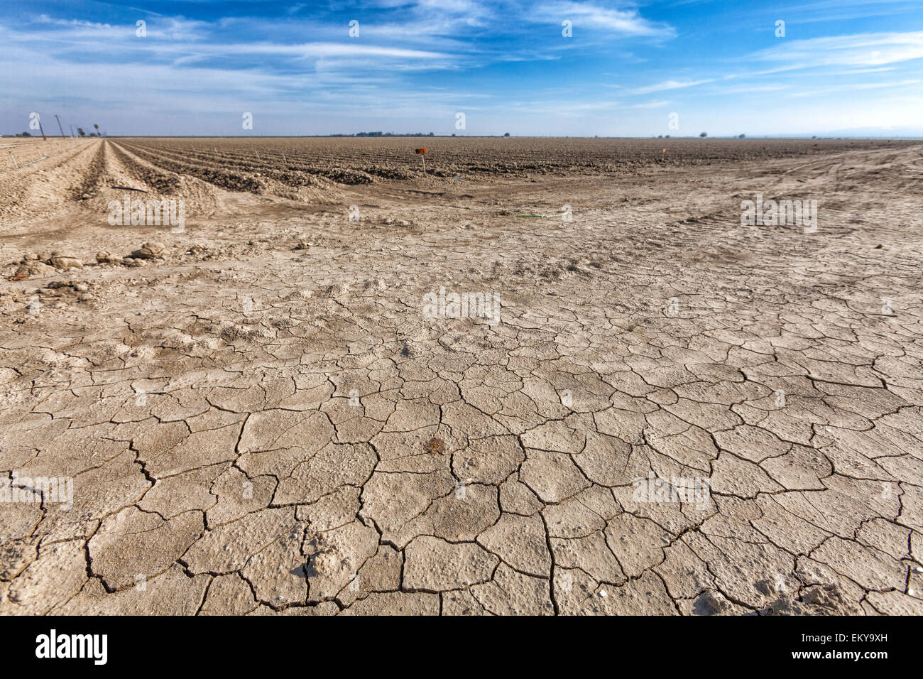 La terre sèche et craquelée à côté du champ de culture de jachère. Le comté de Fresno, San Joaquin Valley, Californie, USA Banque D'Images