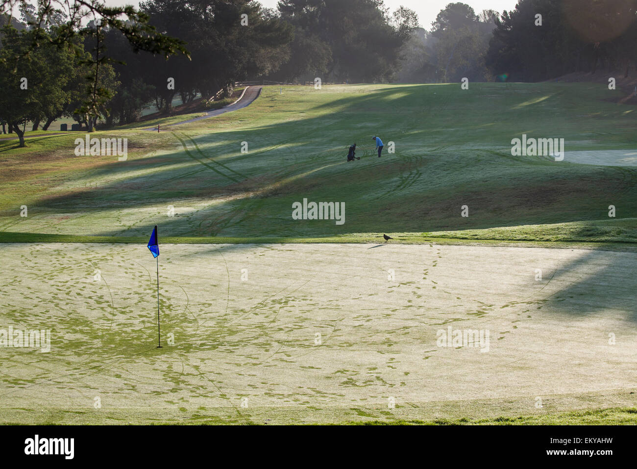 Rancho Park Golf Course, golf et aménagement paysager sont un important utilisateur de l'eau. Los Angeles, Californie, USA Banque D'Images