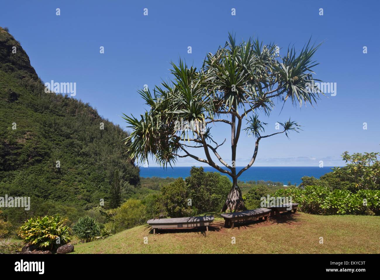 Bancs de jardin,herbe,Colline,Parc,Montagne,mer, Banque D'Images