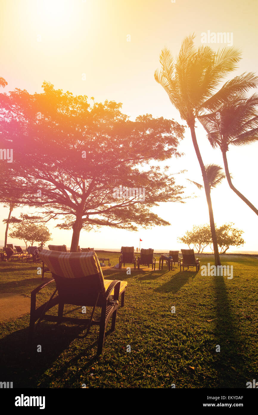 Chaises longues par les palmiers dans l'île tropicale au coucher du soleil Banque D'Images