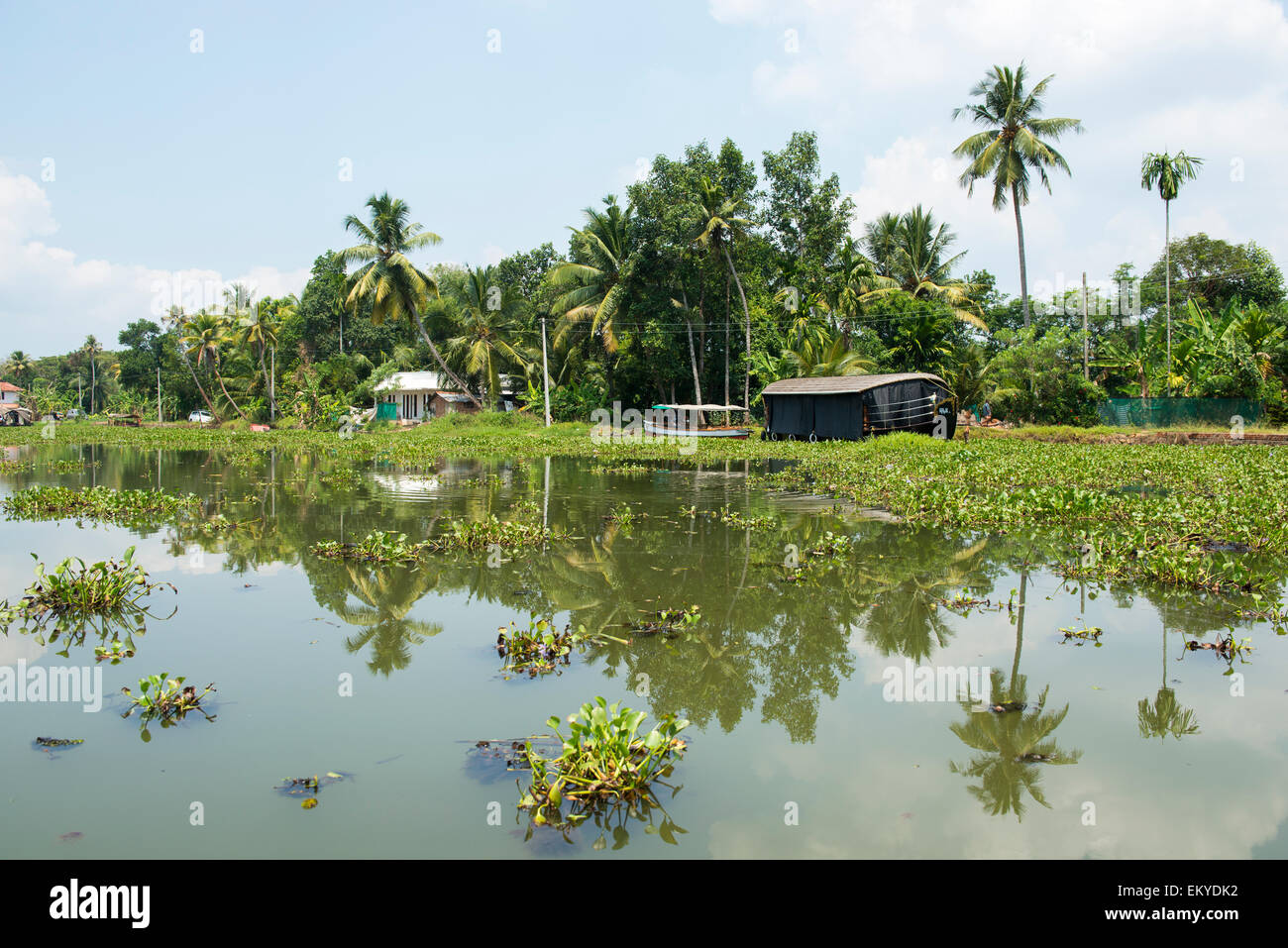 Kerala Backwaters House Boat Banque De Photographies Et D images kerala-backwaters-house-boat-banque-de-photographies-et-d-images
