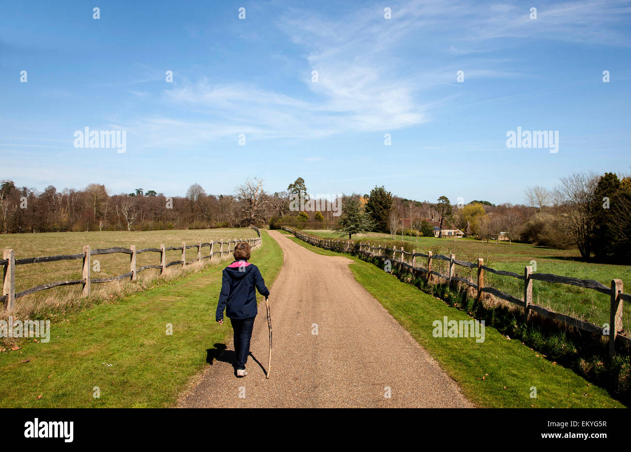 Dame mature en marche Campagne dans sunshine Banque D'Images