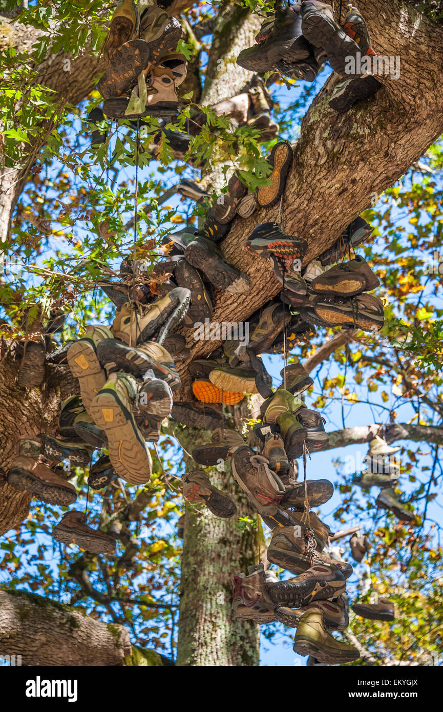 Boot Tree, le monument d'accomplissement de la piste Appalachian à Neels Gap où la piste rencontre l'US Highway 129 en Géorgie du Nord.(ÉTATS-UNIS) Banque D'Images Boot Tree, le monument d'accomplissement de la piste Appalachian à Neels Gap où la piste rencontre l'US Highway 129 en Géorgie du Nord.(ÉTATS-UNIS) Banque D'Images