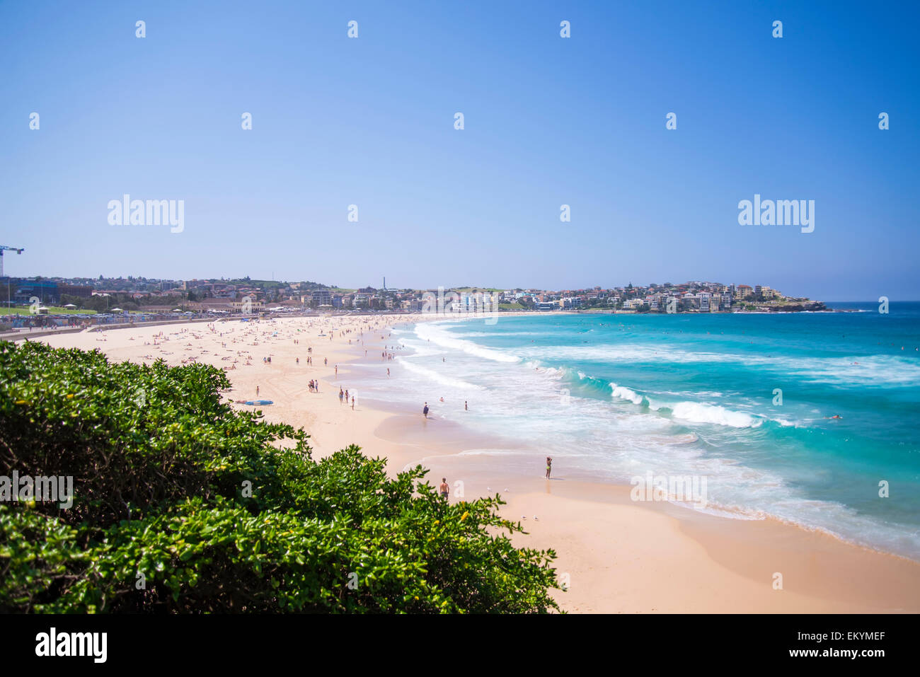 La plage de Bondi, Australie Banque D'Images