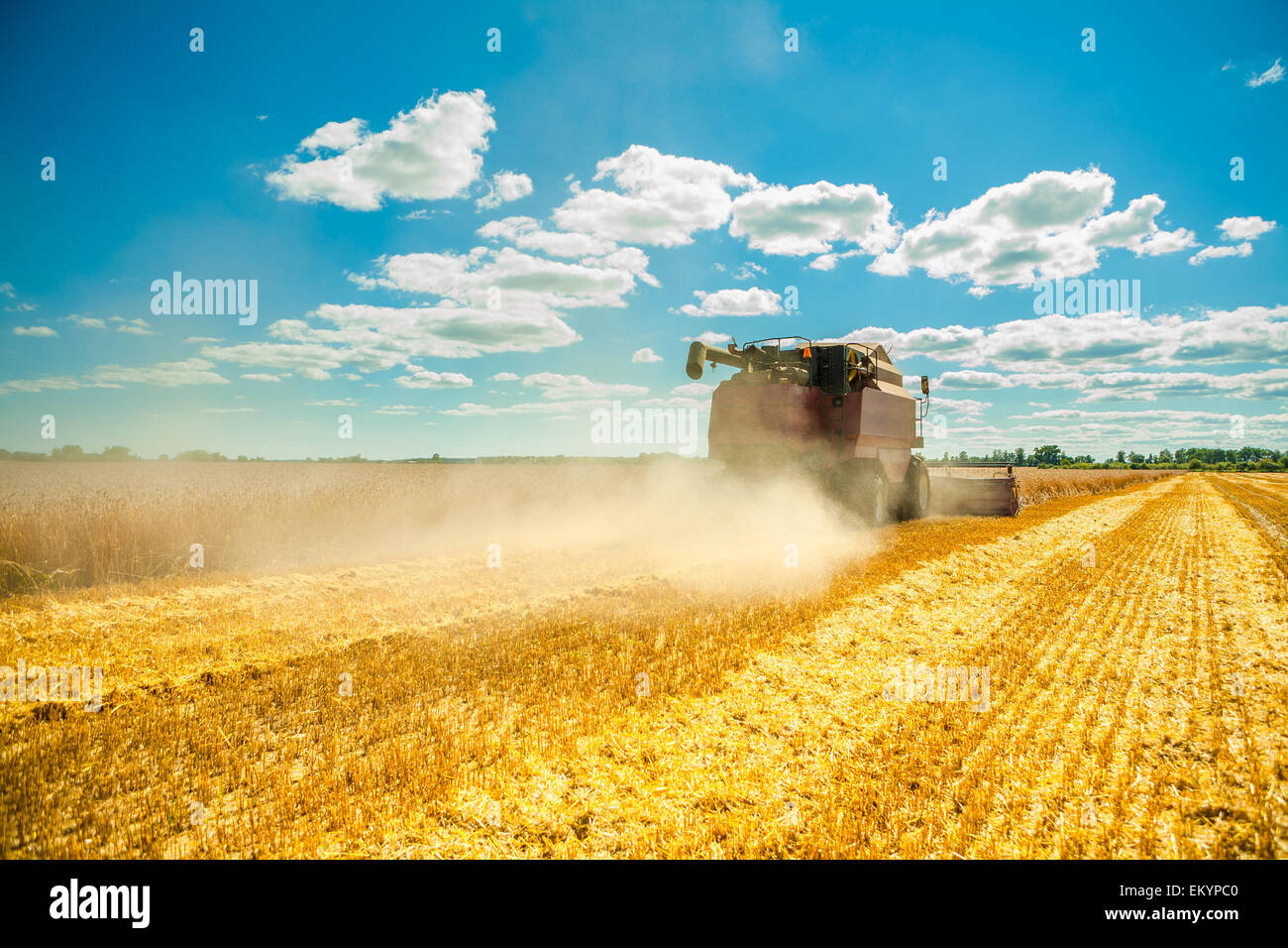 Travail en moissonneuse-batteuse Banque D'Images