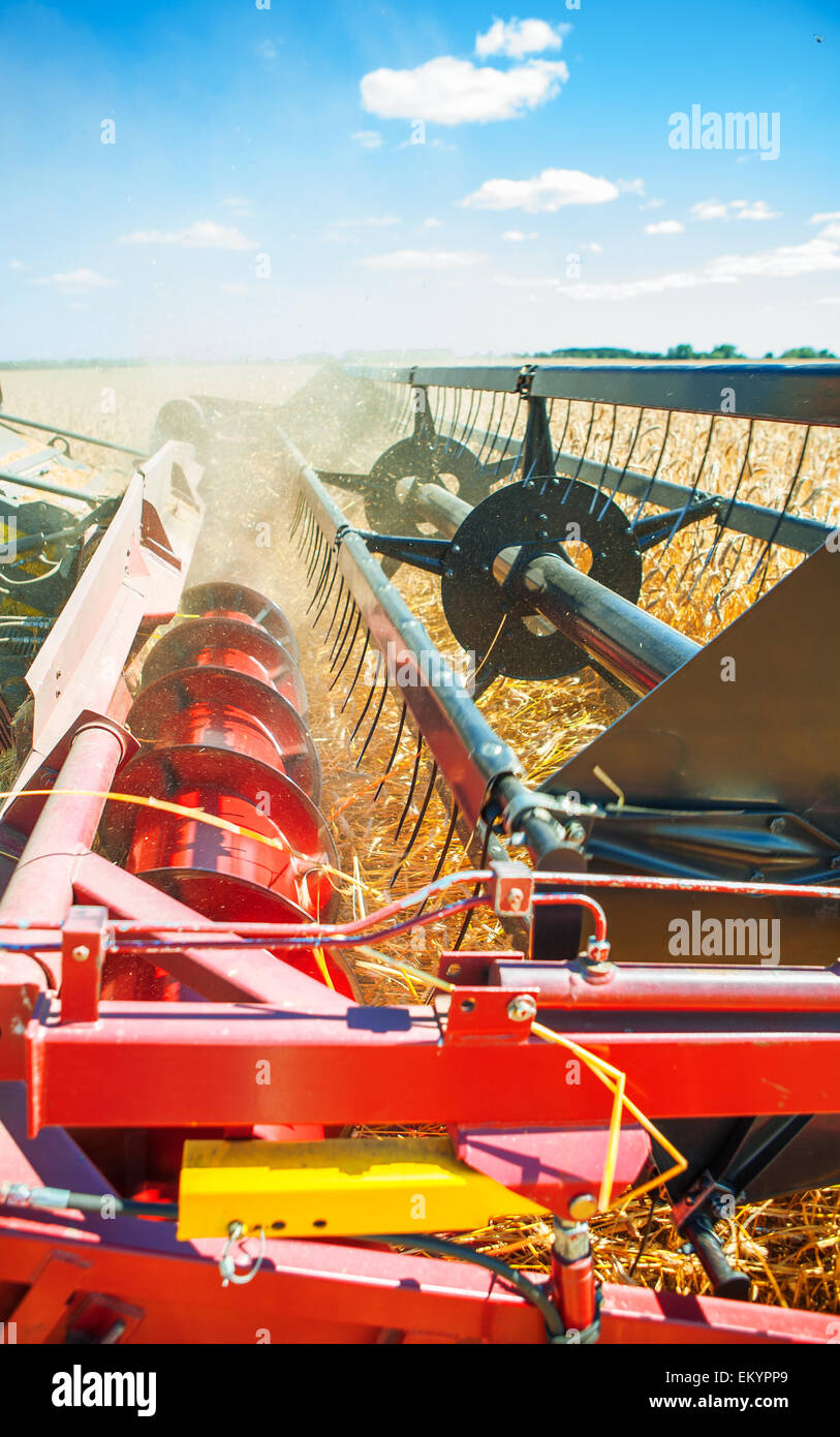 Très proche jusqu'à la moissonneuse-batteuse Banque D'Images