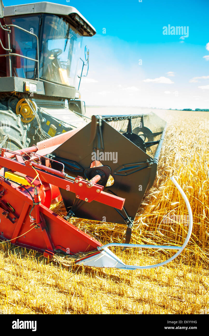 Combiner close up Banque D'Images