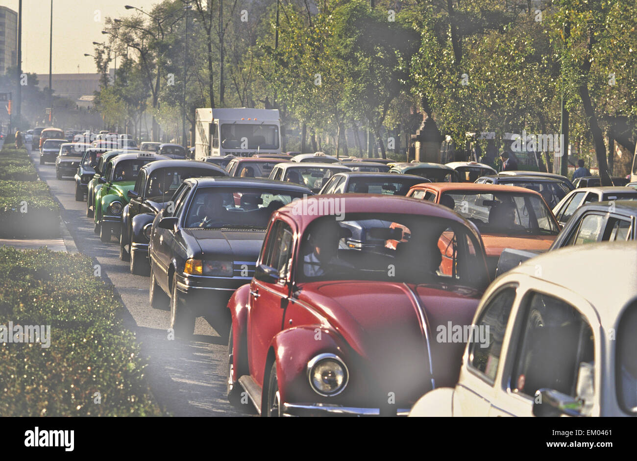 La circulation dans la ville de Mexico est de contribuer à la pollution atmosphérique whiles à Oaxaca la végétation exotique semblent plus environmentaly friendly Banque D'Images