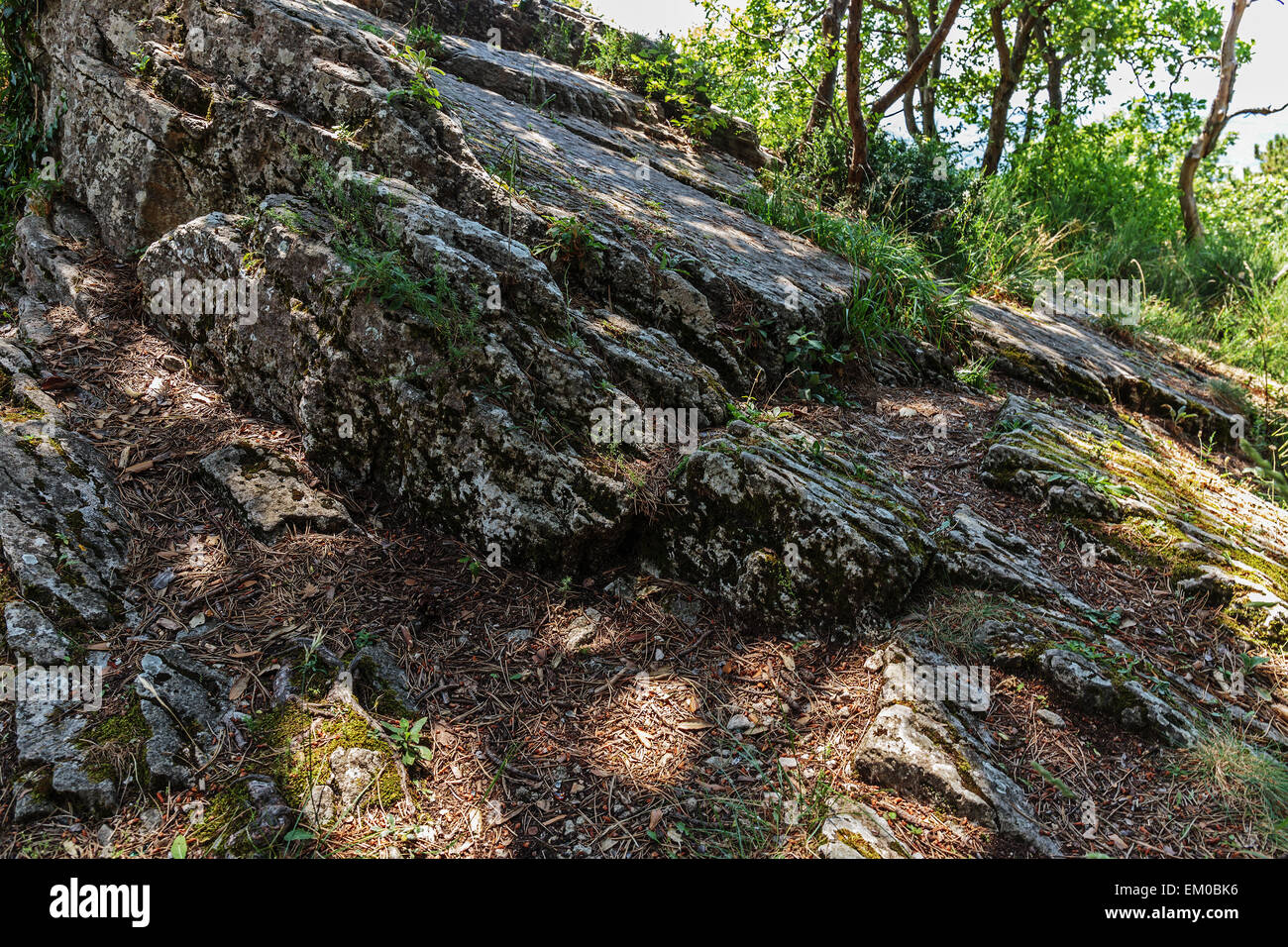 Stone Ridge dans la forêt Banque D'Images