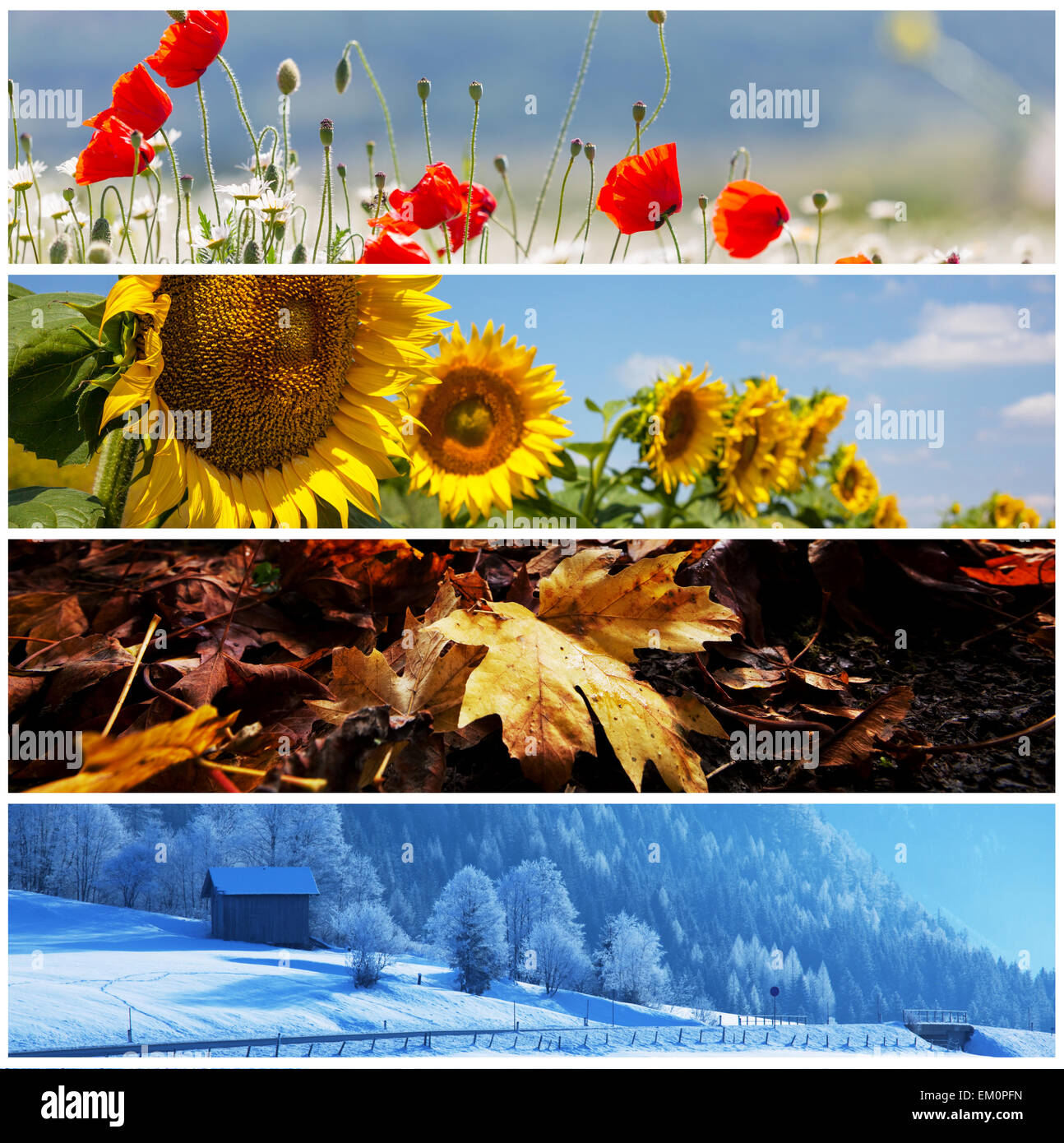 Collage de saison Banque D'Images