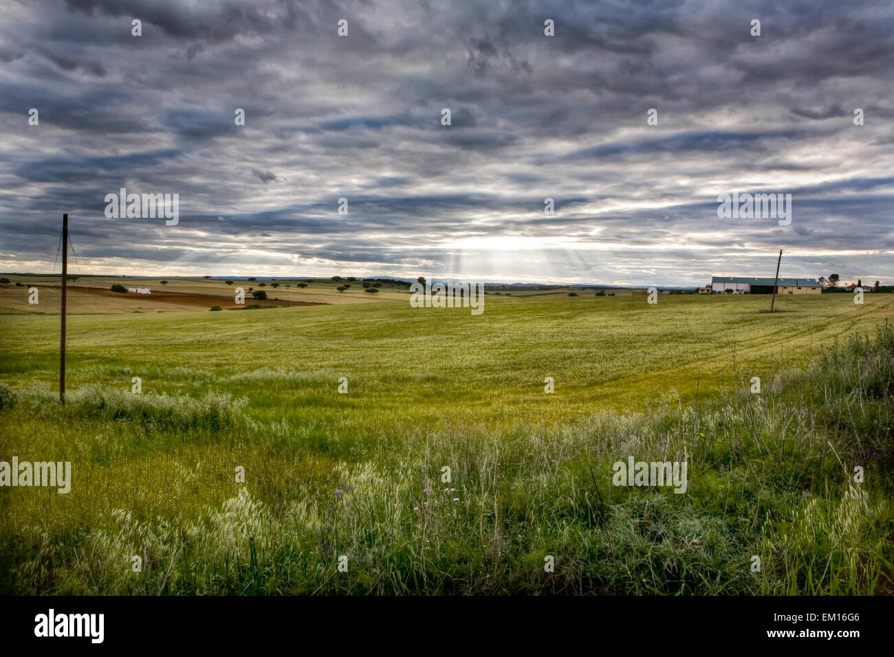 Paysage rural, ciel dramatique, et les rayons du soleil la lumière sur les domaines de la campagne d'Olivença, Badajoz, Estrémadure, Espagne Banque D'Images