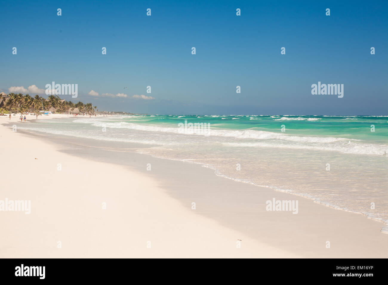 Plage tropical parfait avec de l'eau turquoise et des plages de sable blanc de Tulum, Mexique Banque D'Images