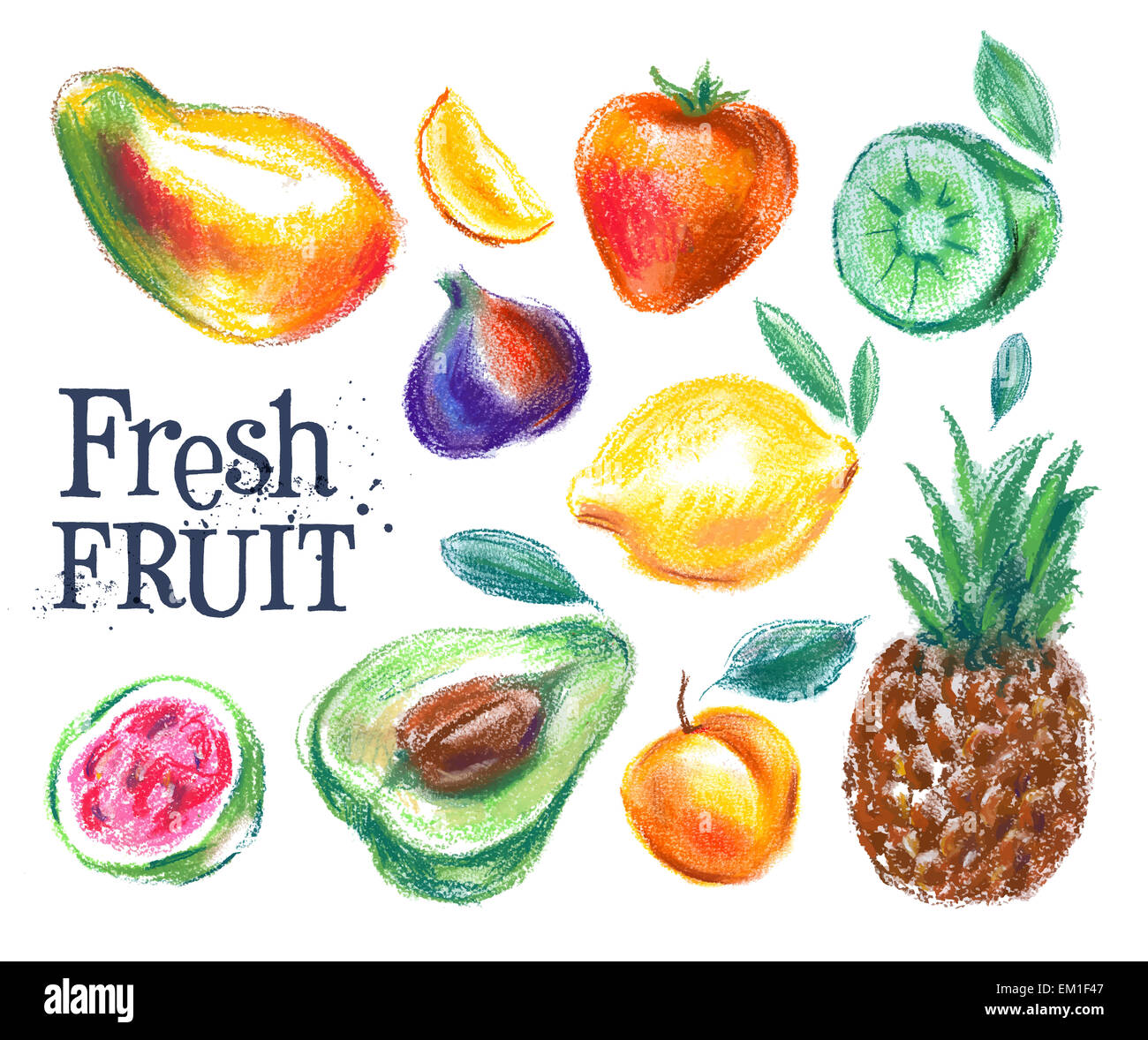 Fruits mûrs logo vector modèle. La nourriture fraîche ou le jardinage, l'icône de la récolte. Banque D'Images