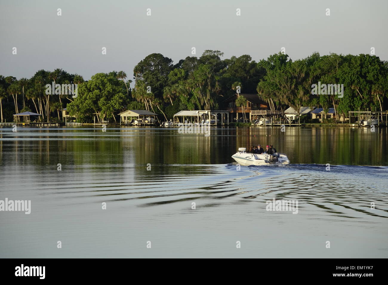 Bateau croisière sur la rivière Homosassa, Floride Banque D'Images