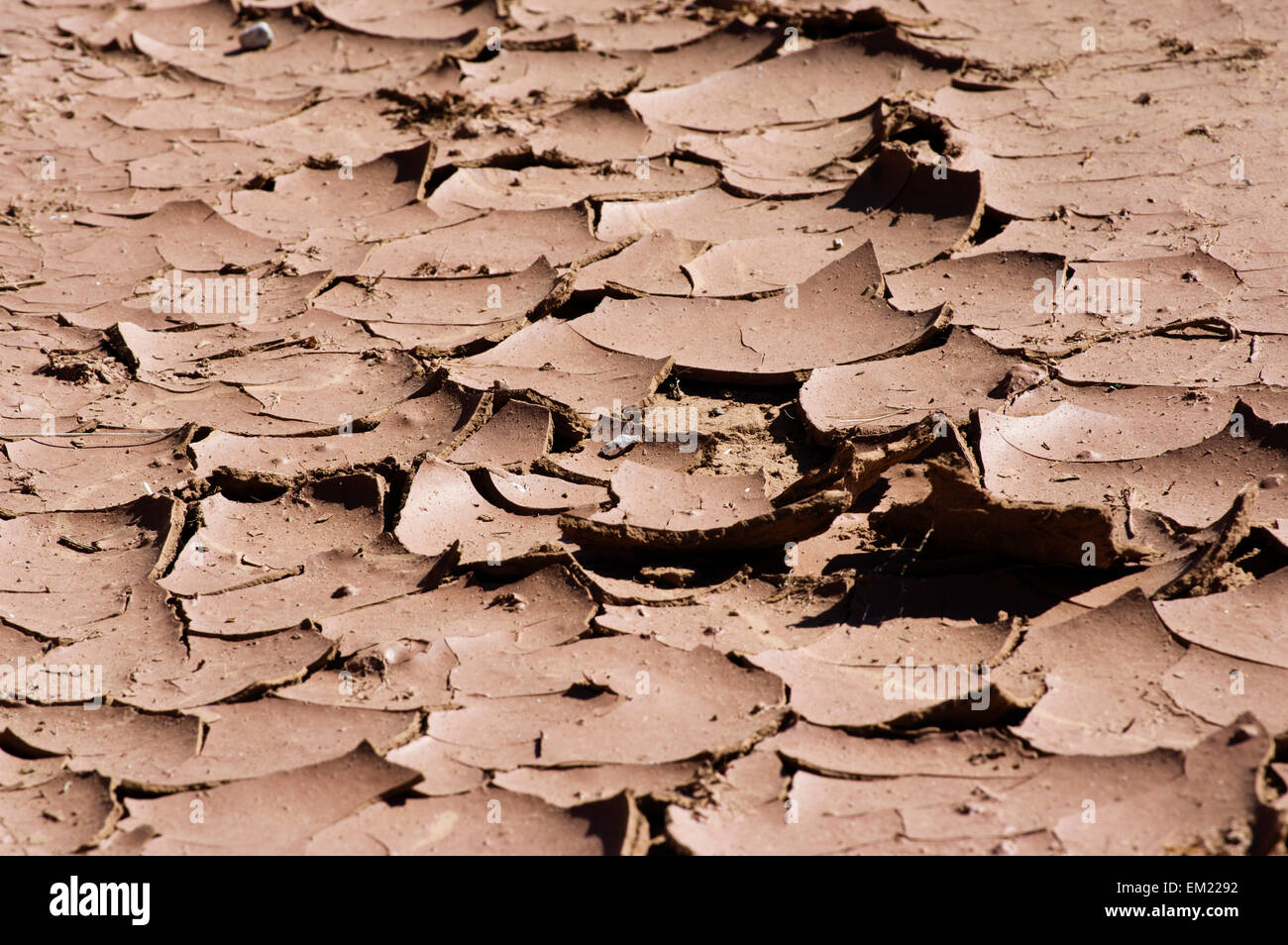 Cracked earth en Californie du Sud à partir de l'eau sécheresse pénurie Banque D'Images