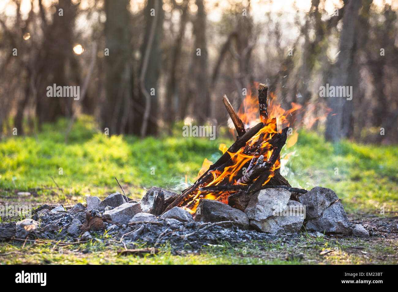 Feu de forêt au printemps. Les charbons de feu. L'Ukraine Banque D'Images