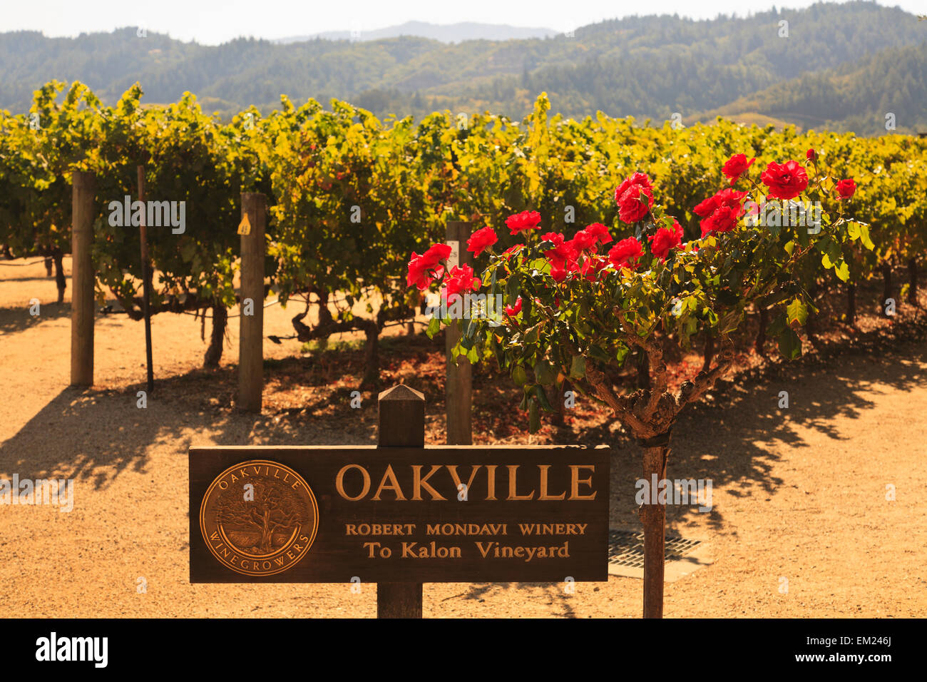 Robert Mondavi Winery Napa, Californie, États-Unis d'Amérique Banque D'Images