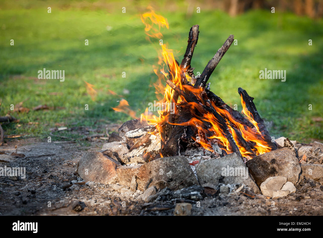 Feu de forêt au printemps. Les charbons de feu. L'Ukraine Banque D'Images