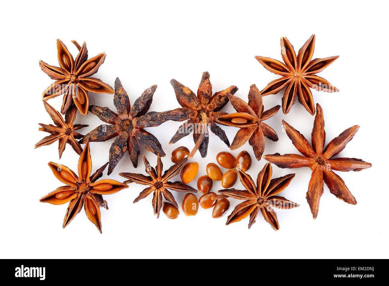 Les étoiles d'anis sur fond blanc Banque D'Images