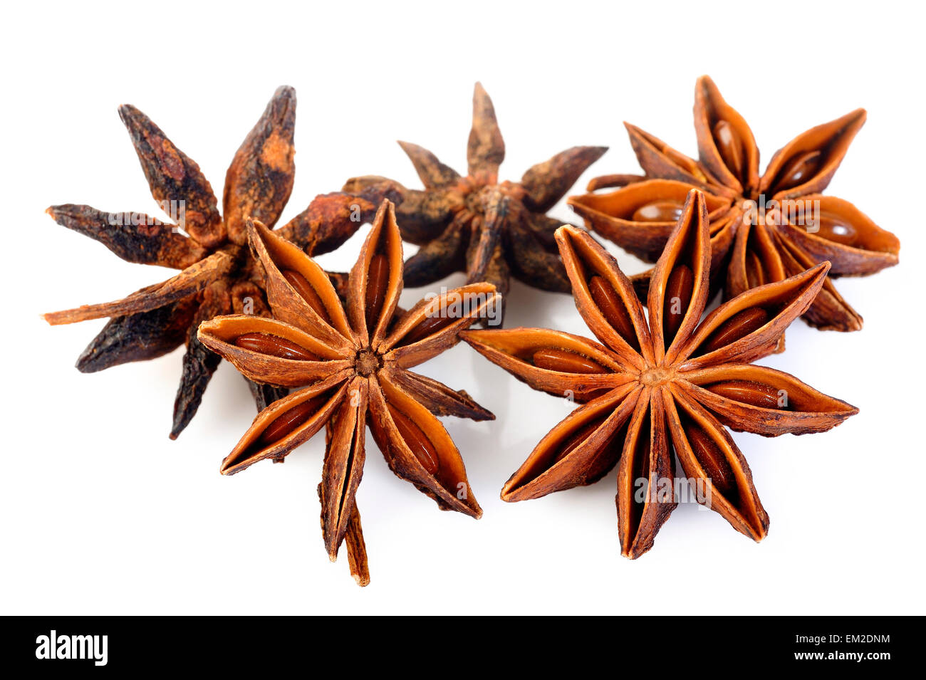 Les étoiles d'anis sur fond blanc Banque D'Images