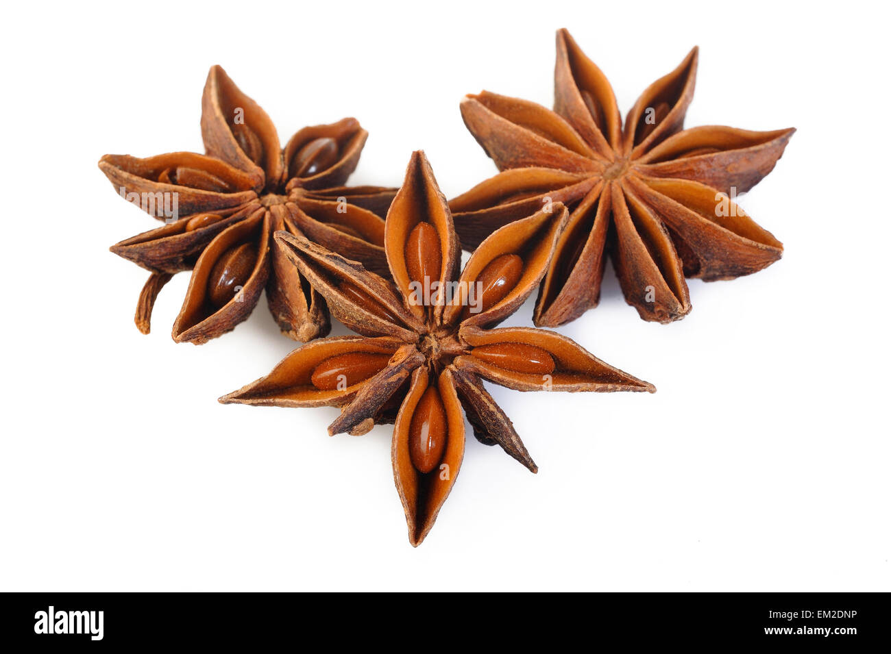 Les étoiles d'anis sur fond blanc Banque D'Images