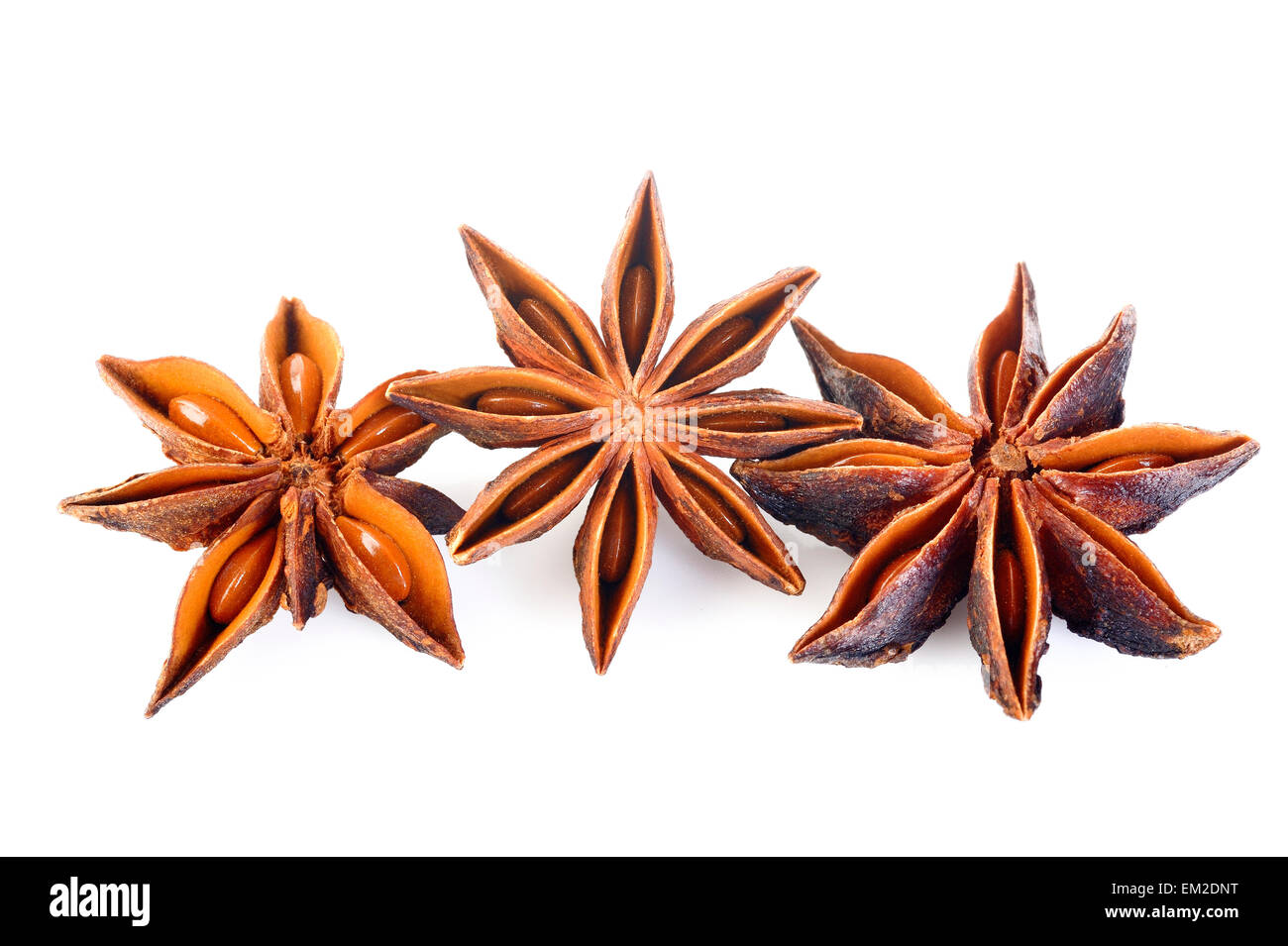 Les étoiles d'anis sur fond blanc Banque D'Images