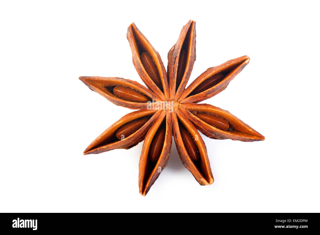 Étoile d'anis sur fond blanc Banque D'Images