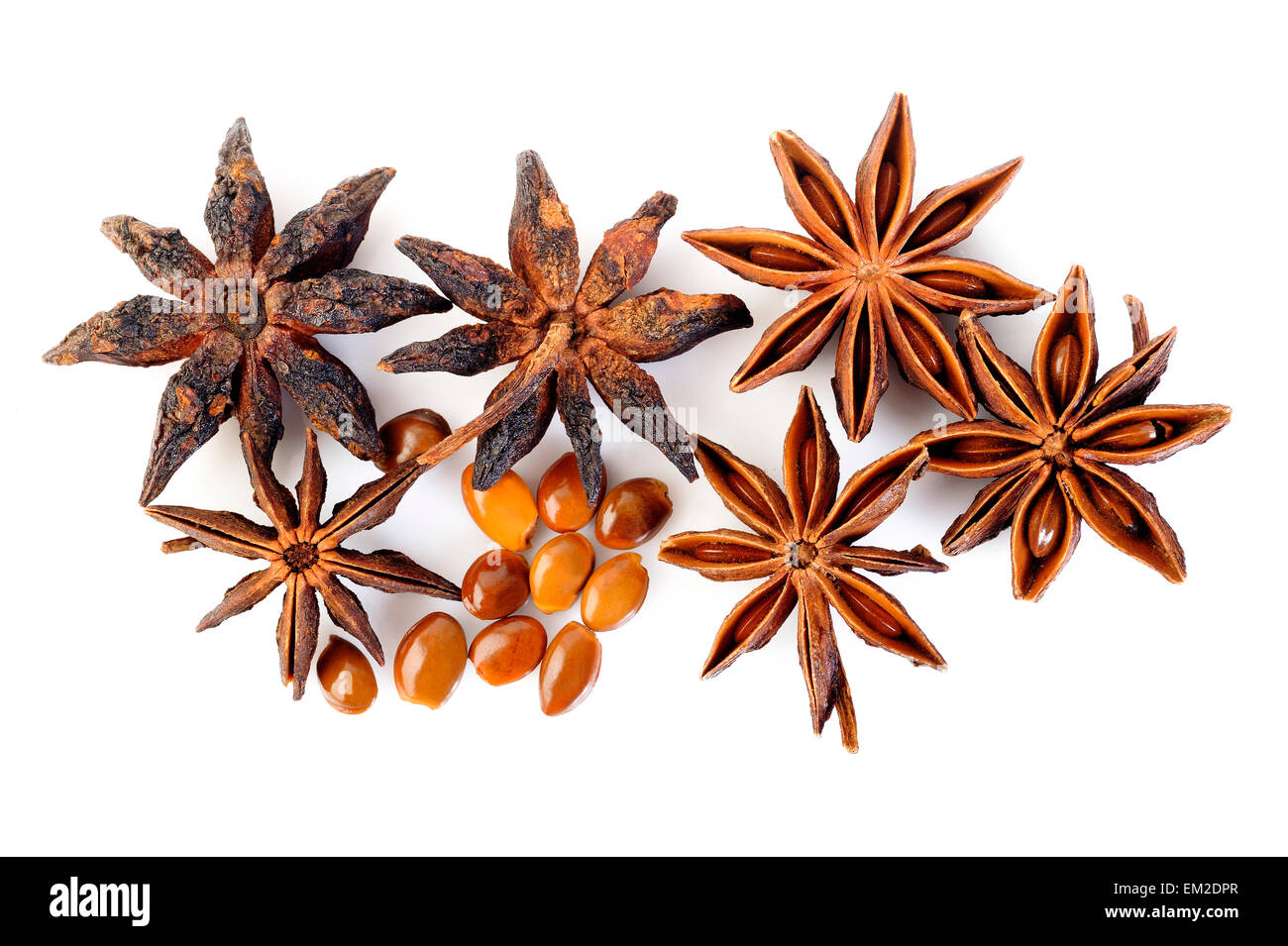 Les étoiles d'anis sur fond blanc Banque D'Images