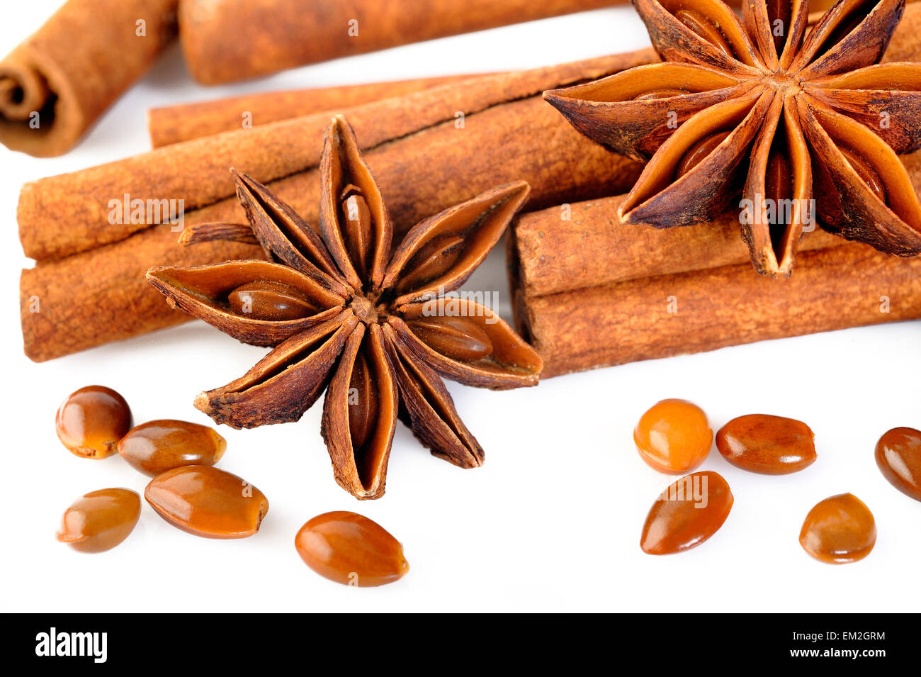 Le bâton de cannelle et la badiane spice Banque D'Images