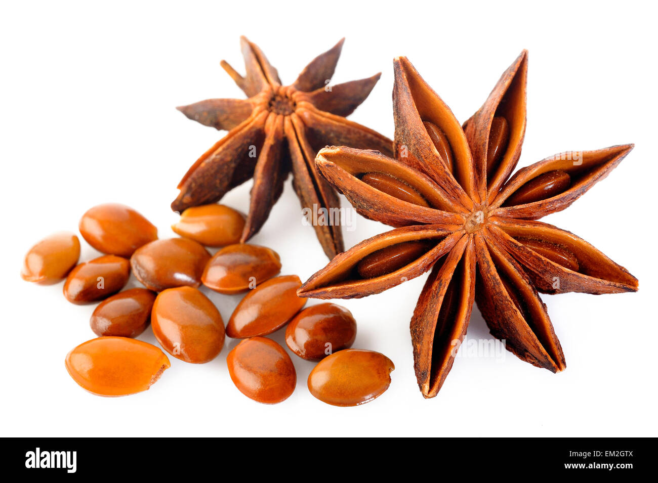 Les étoiles d'anis sur fond blanc Banque D'Images