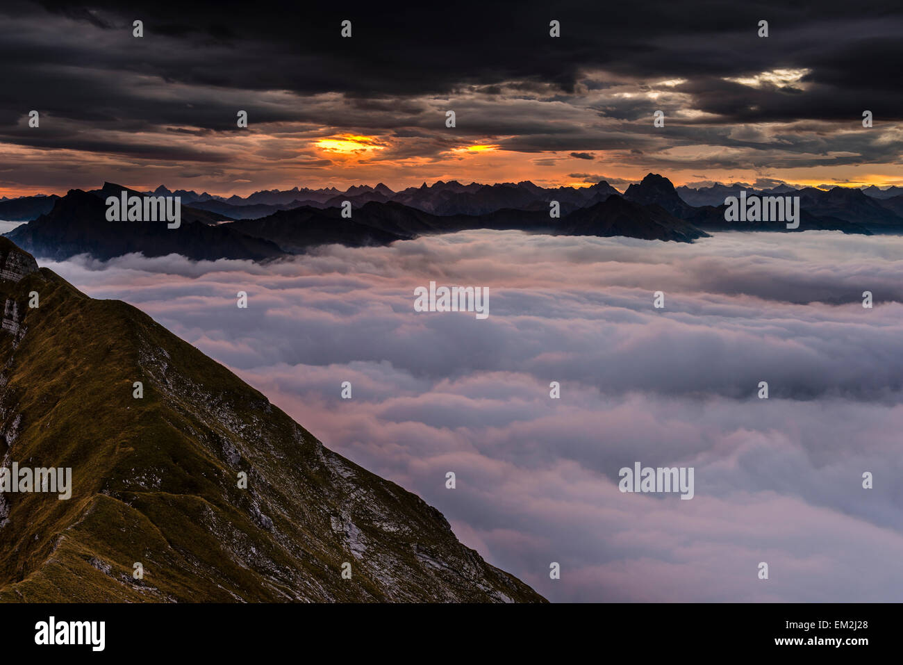 Sommet de la Kanisfluh avec la couverture nuageuse au-dessous, au lever du soleil, Au, forêt de Bregenz, Vorarlberg, Autriche Banque D'Images