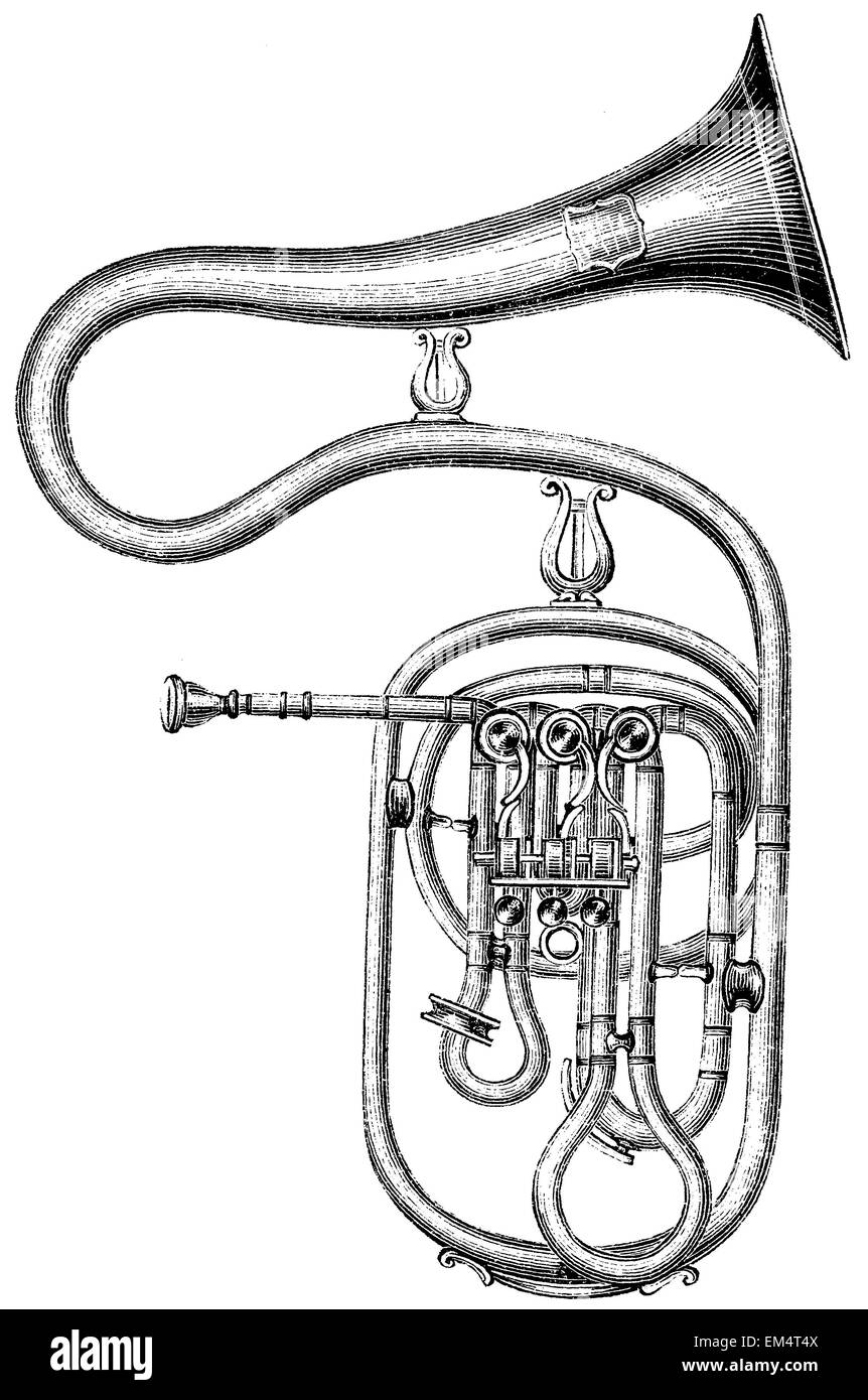 Trombone basse avec des valves (Nouvelle forme) Banque D'Images