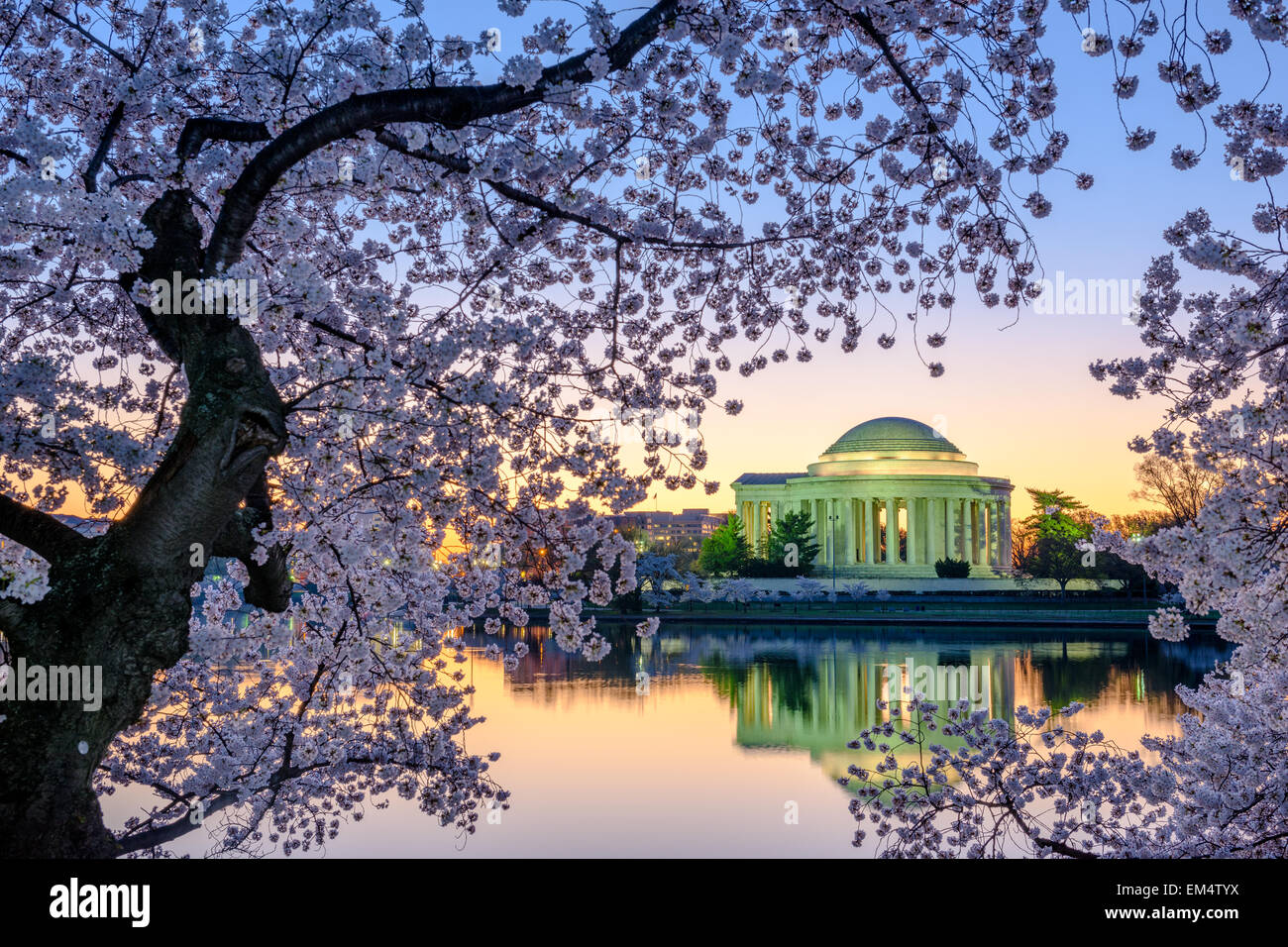 Washington, DC du Jefferson Memorial au printemps. Banque D'Images