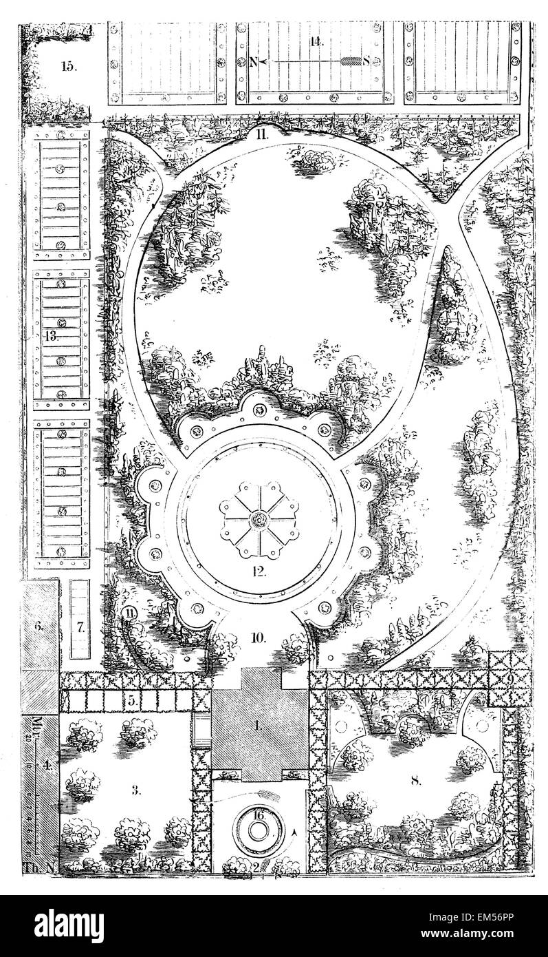 Plan de jardin Banque D'Images