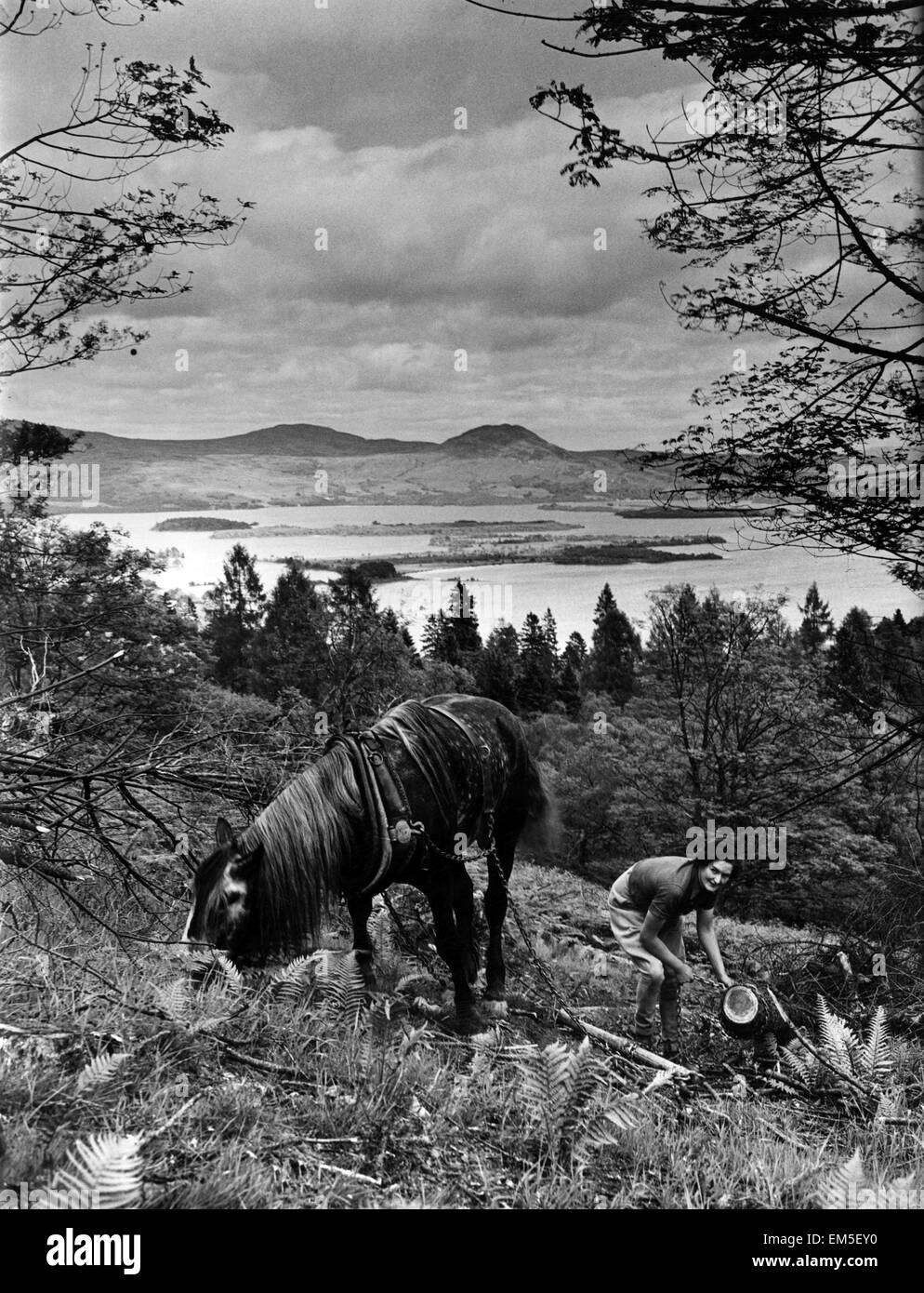 Femme et cheval à Loch Lomond. Loch Lomond est un loch écossais d'eau douce qui traverse la frontière Highland faute. Le Loch Lomond est actuellement répartie entre les régions du conseil de Stirling, Argyll and Bute, et West Dunbartonshire. L'Écosse 1942. Banque D'Images