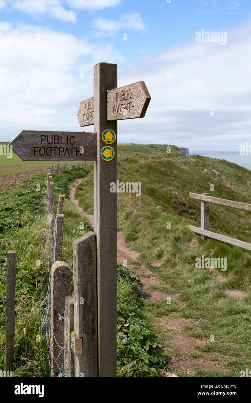 UK, falaises de Bempton, sentier signer le long de la côte. Banque D'Images