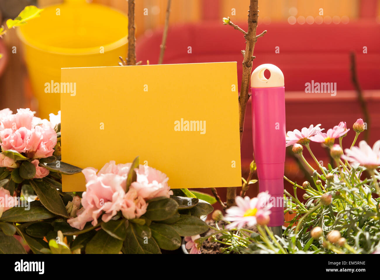 Carte vierge sur balcon plantes Banque D'Images