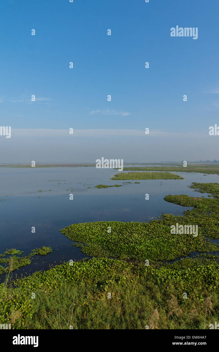 Réserve naturelle d'oiseaux au Bangladesh Banque D'Images