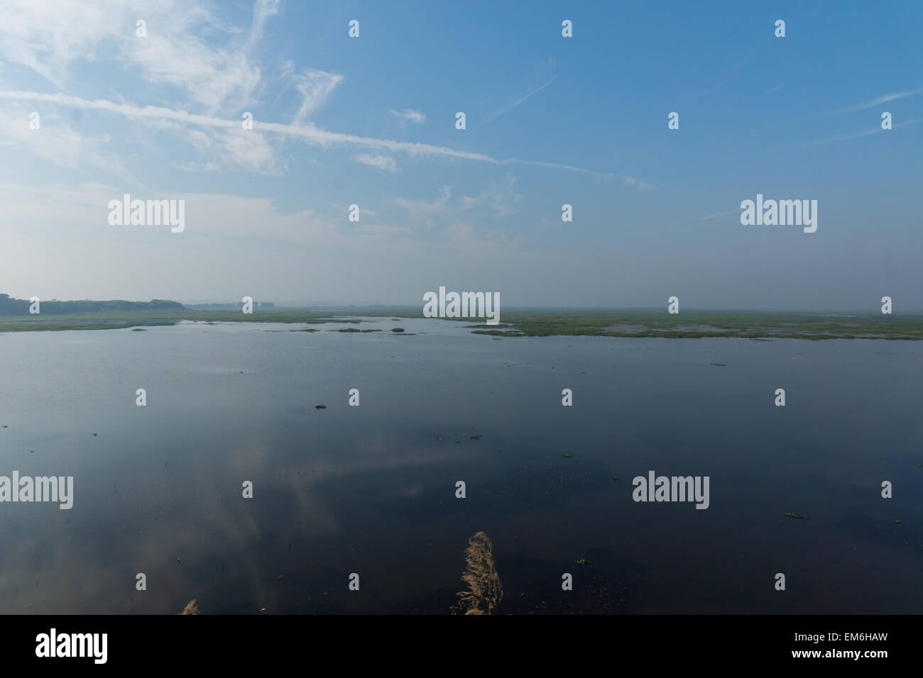 Réserve naturelle d'oiseaux au Bangladesh Banque D'Images