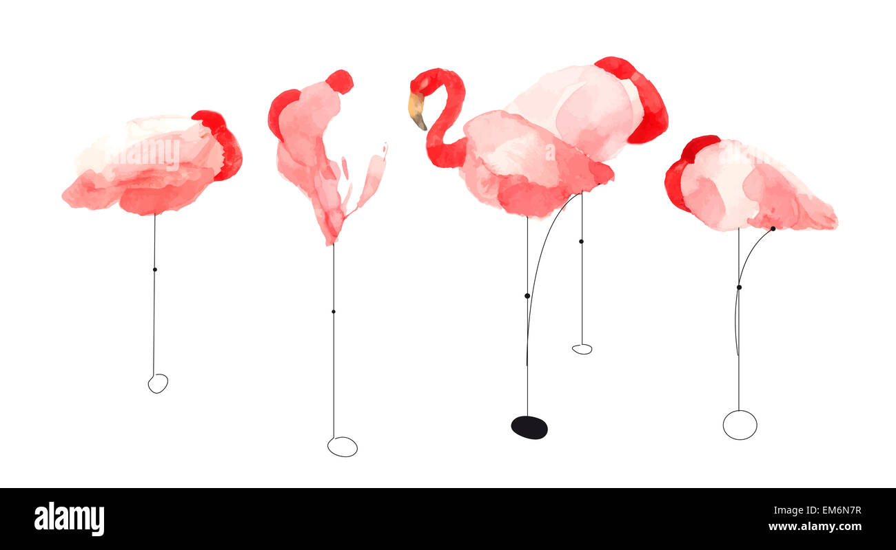 Illustration à l'aquarelle d'une rouge flamingo isolated on white Banque D'Images