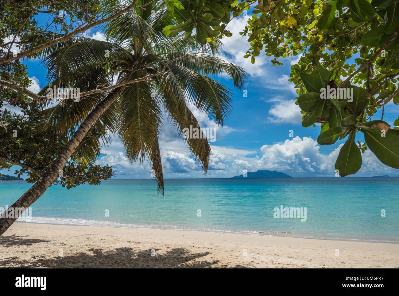 Anse Beau Vallon beach tropical, l'île de Mahé, Seychelles Banque D'Images
