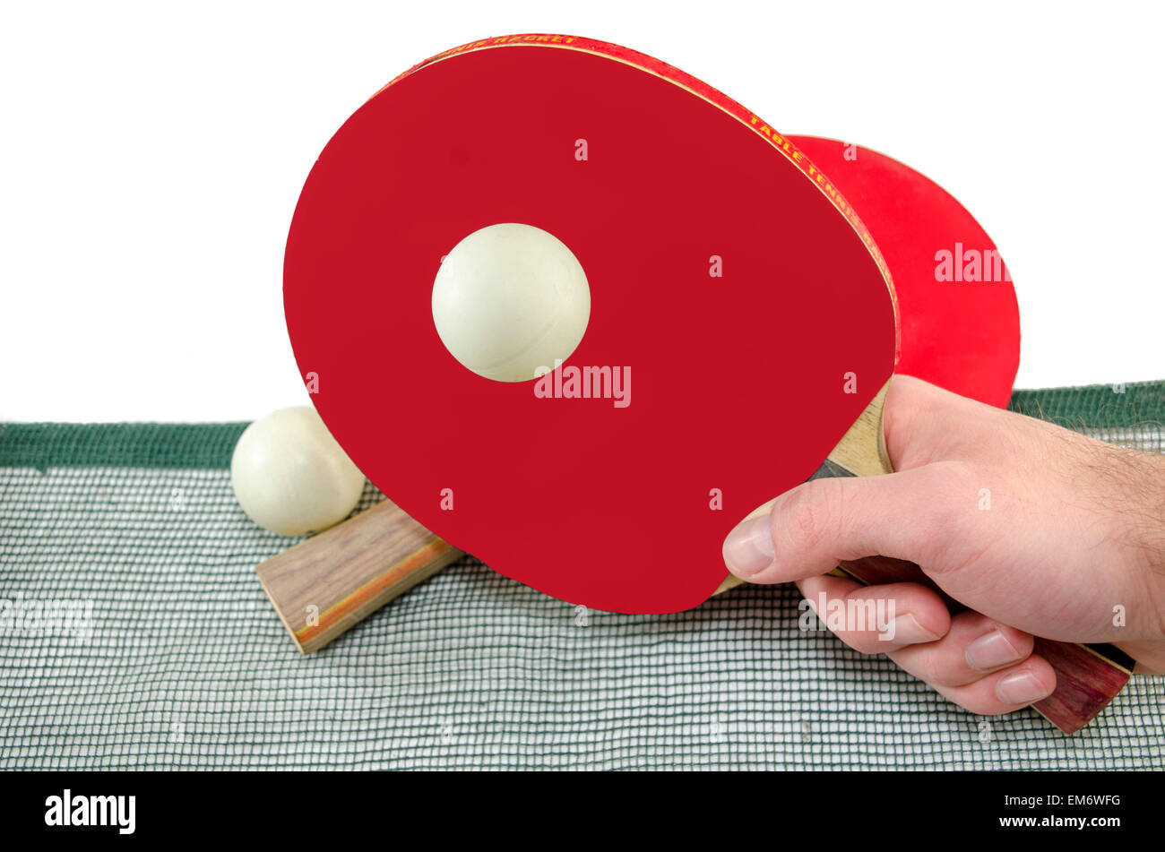 Homme main tenant une raquette de ping-pong et une balle de tennis de table au-dessus d'un filet, isolated on white Banque D'Images
