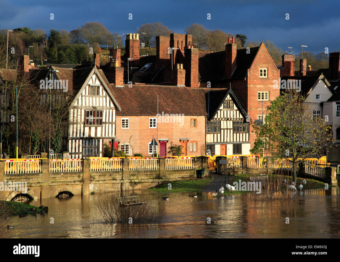 La rivière Severn inondations à Bewdley, 2012, Worcestershire, Angleterre, Europe Banque D'Images