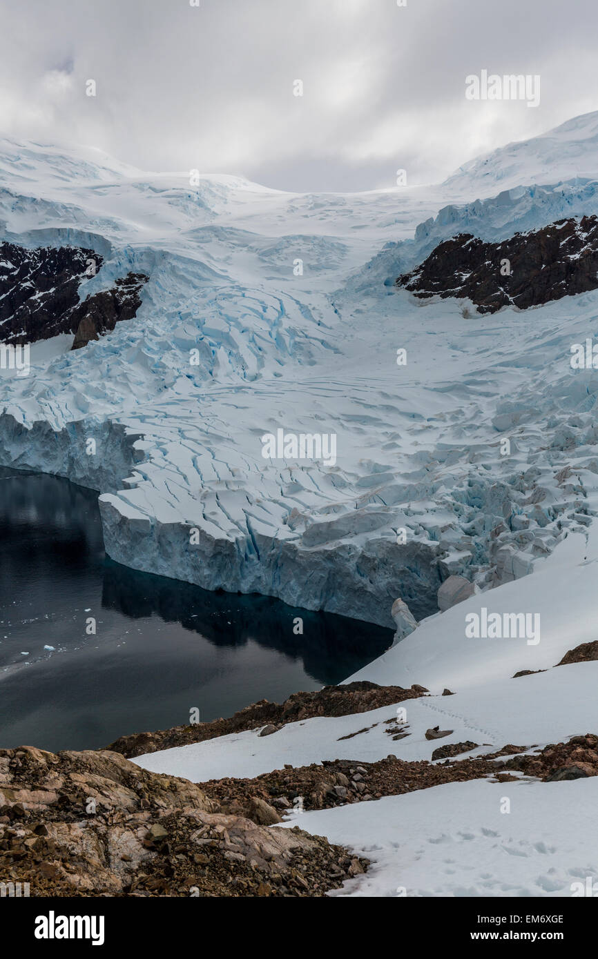 Neko Harbour, péninsule antarctique, Andvord Bay, situé sur la côte ouest de la Terre de Graham. Banque D'Images