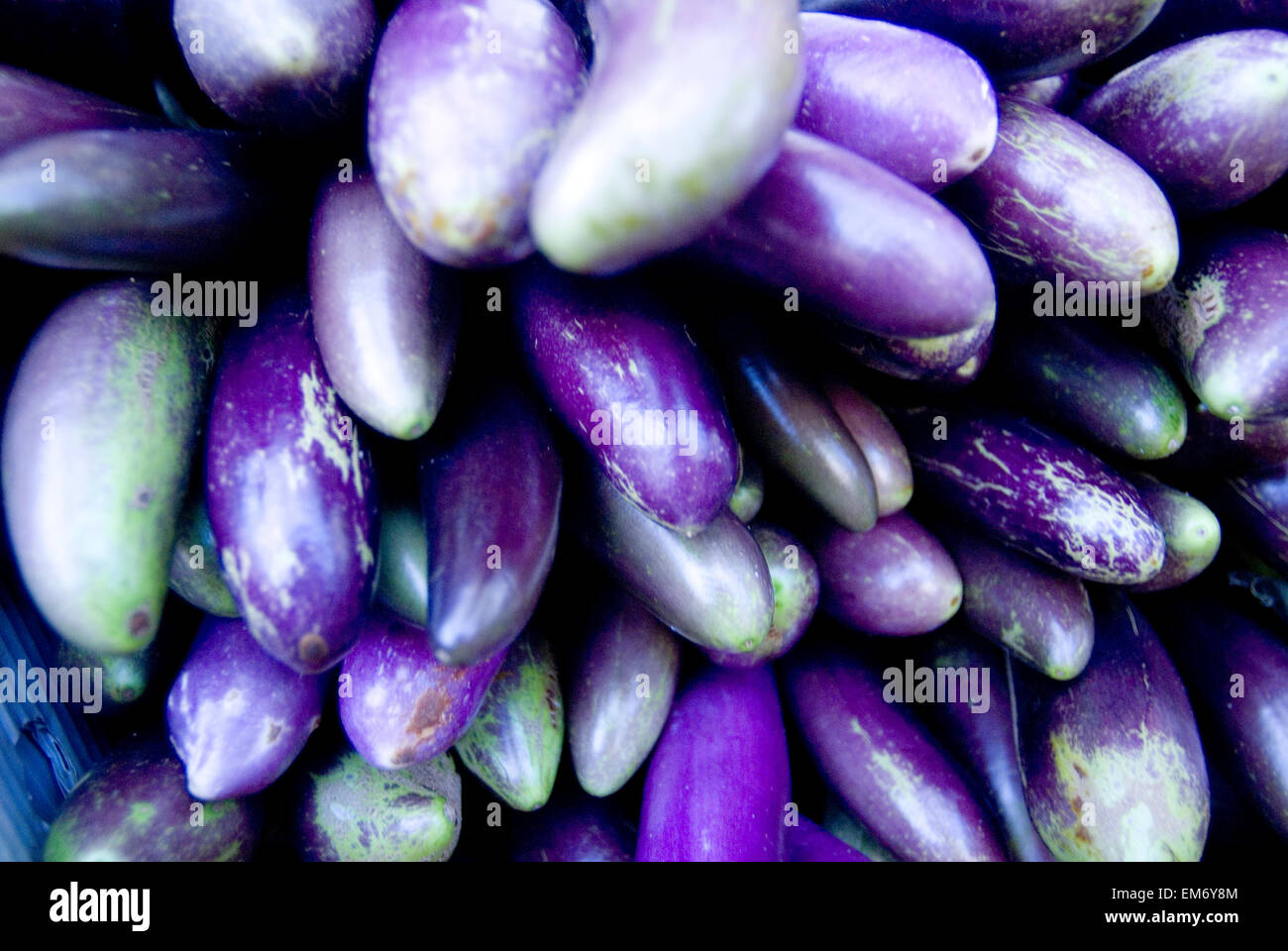 Hawaii, Oahu, Honolulu, Chinatown, Close-up d'un tas d'aubergine pourpre Banque D'Images