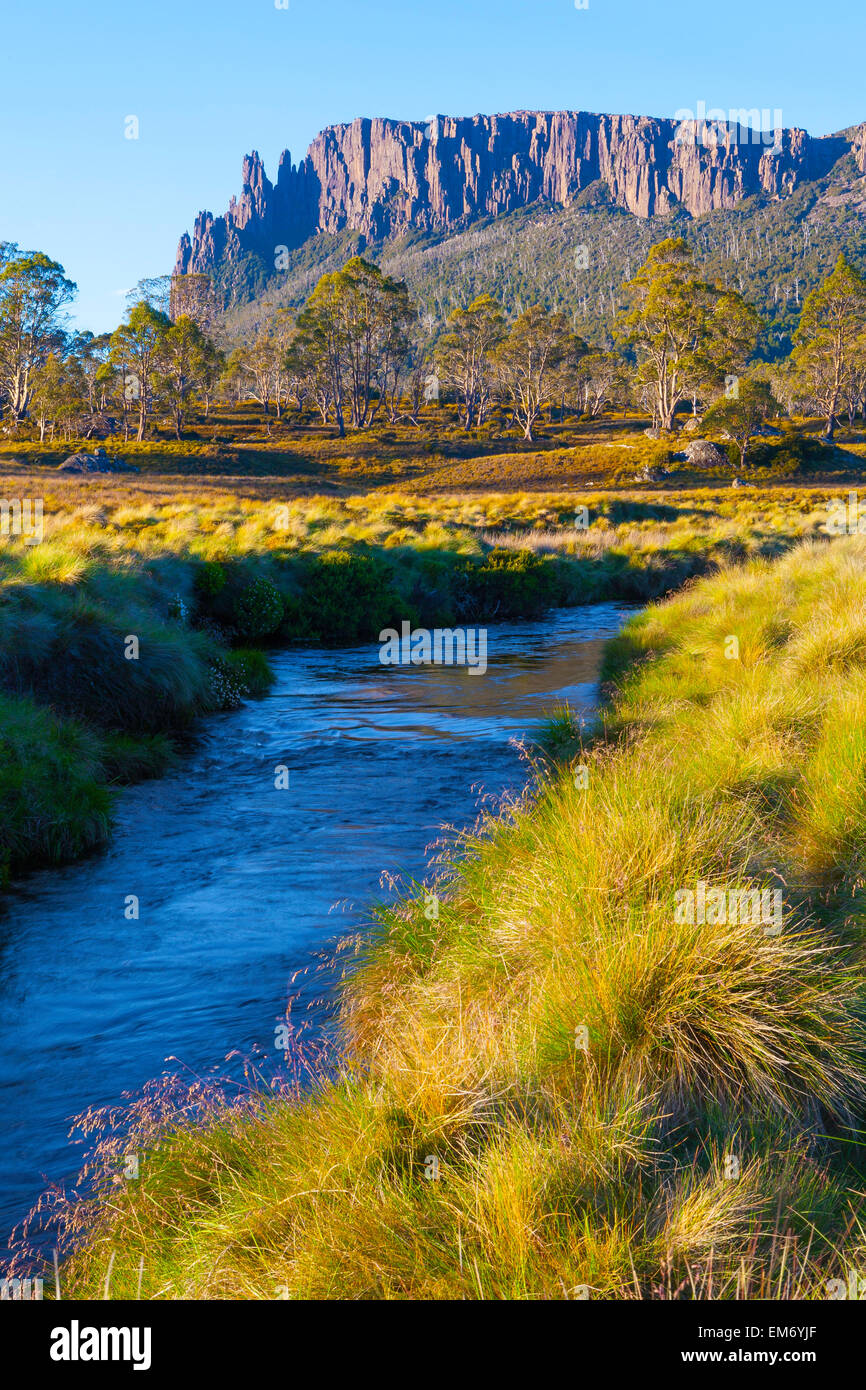 Mt. Vélo - Cradle Mountain Lake St Clair National Park - Tasmanie - Australie Banque D'Images