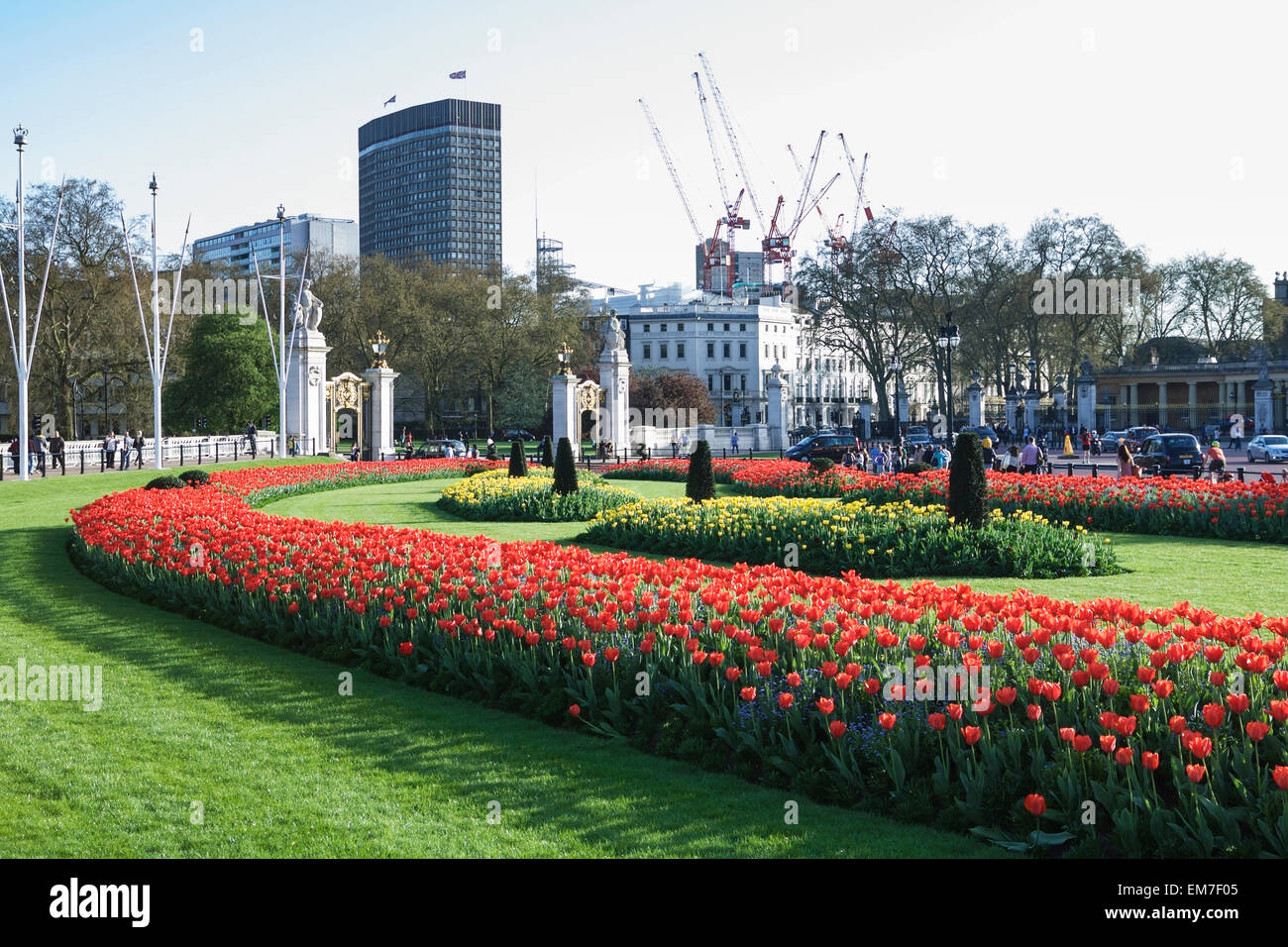 Des massifs de fleurs avec des tulipes en face de Buckingham Palace, London, UK Banque D'Images