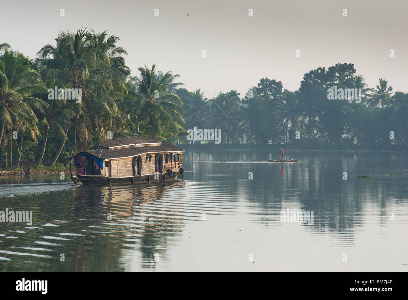 House boat, pêche, bordées de palmiers, backwaters, Kerala, côte de Malabar, en Inde du Sud, Inde Banque D'Images